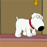 briandog